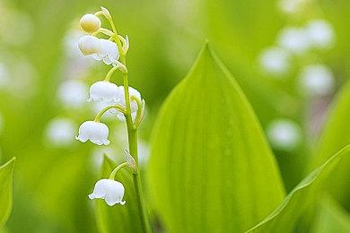 高能电玩节：全新王道JRPG《时灵 星辰愚者》正式公开！Steam体验版即将开放